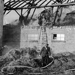 Kräfte der Freiwilligen Feuerwehr beim Ablöschen der Glutnester im Heustadel