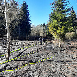 Verbrannte Waldfläche mit zwei Polizeieinsatzkräften und gelben Schläuchen der Feuerwehr München auf dem Boden