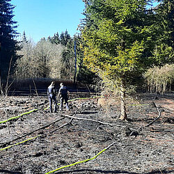 Verbrannte Waldfläche mit zwei Polizeieinsatzkräften und gelben Schläuchen der Feuerwehr München auf dem Boden
