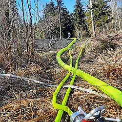 Leuchtend gelbe Schläuche der Feuerwehr verlaufen über trockenes Gras und Zweige in einem Waldgebiet
